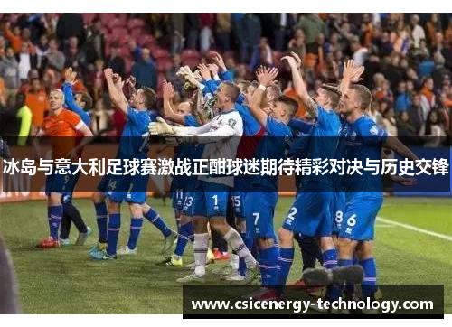 冰岛与意大利足球赛激战正酣球迷期待精彩对决与历史交锋