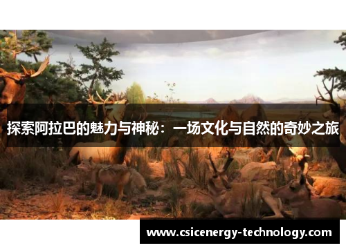 探索阿拉巴的魅力与神秘：一场文化与自然的奇妙之旅