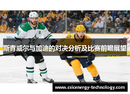 斯青威尔与加迪的对决分析及比赛前瞻展望